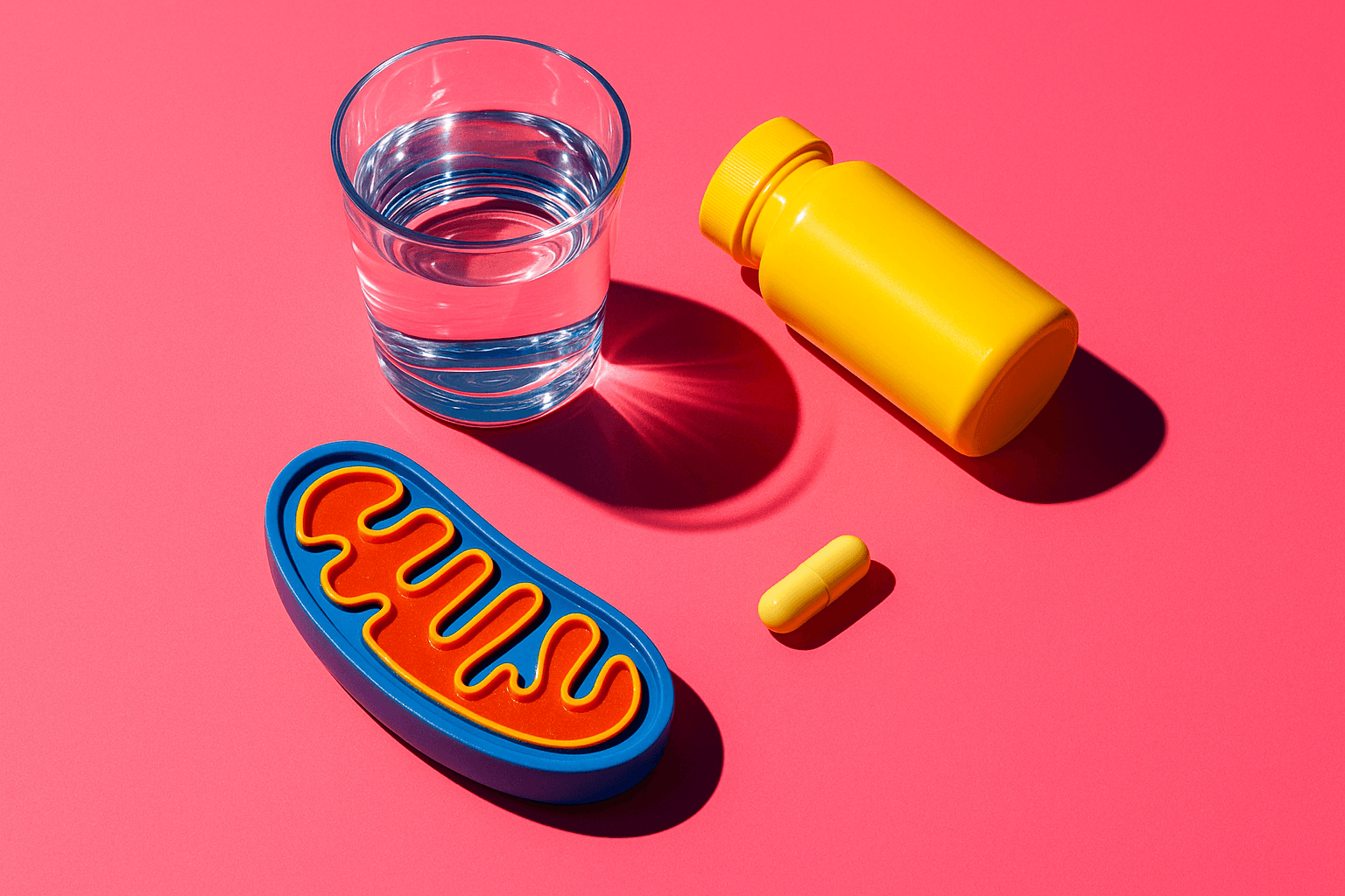 NAD+ Boosters for Longevity: What the Evidence Actually Supports in 2026